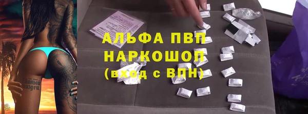 ПСИЛОЦИБИНОВЫЕ ГРИБЫ Кукмор