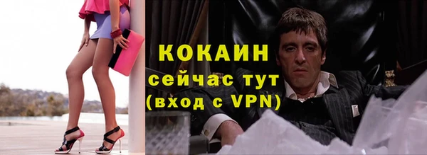 ПСИЛОЦИБИНОВЫЕ ГРИБЫ Кукмор