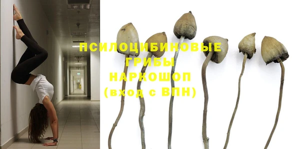 Альфа ПВП Коряжма
