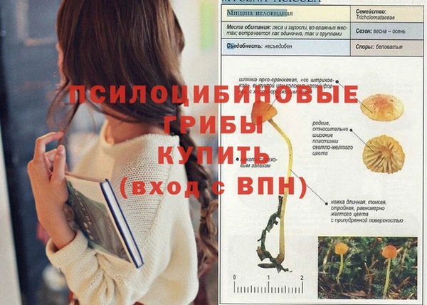 ПСИЛОЦИБИНОВЫЕ ГРИБЫ Кукмор