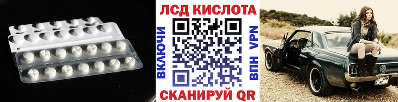 omg онион  купить наркотики цена  Новопавловск  LSD-25 экстази кислота 