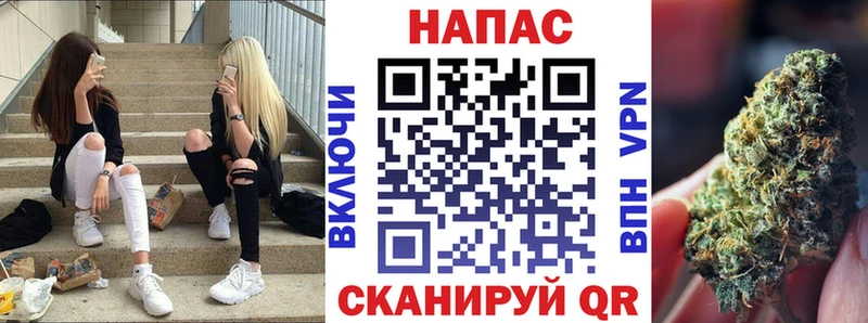 закладка  Новопавловск  Бошки Шишки MAZAR 